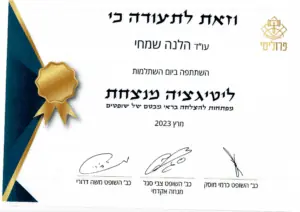 השתלמות-ליטיגציה